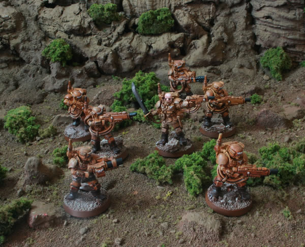 Inquisitorial Storm Troopers 