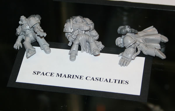 Space Marine Casualties
