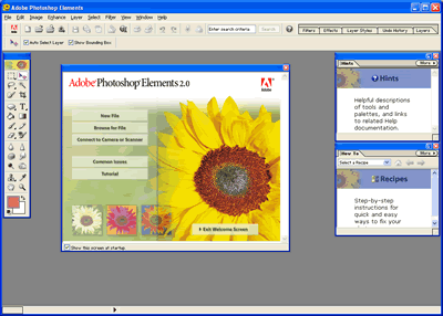 adobe photoshop elements 2.0 free download full version